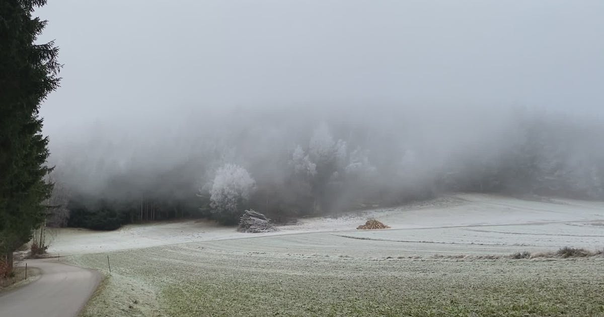 The Weight of Whispers