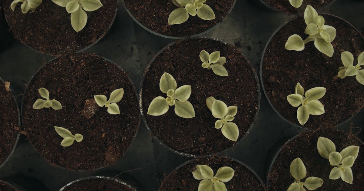 Part 2: The Big Push