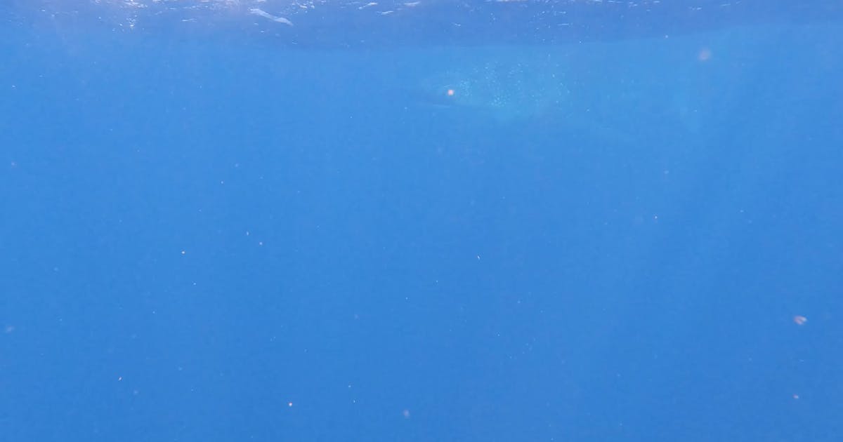 Part 3: The Big Rain