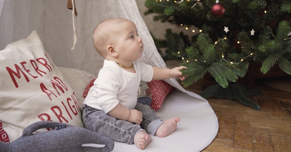 Part 1: The Bear Finds Berries