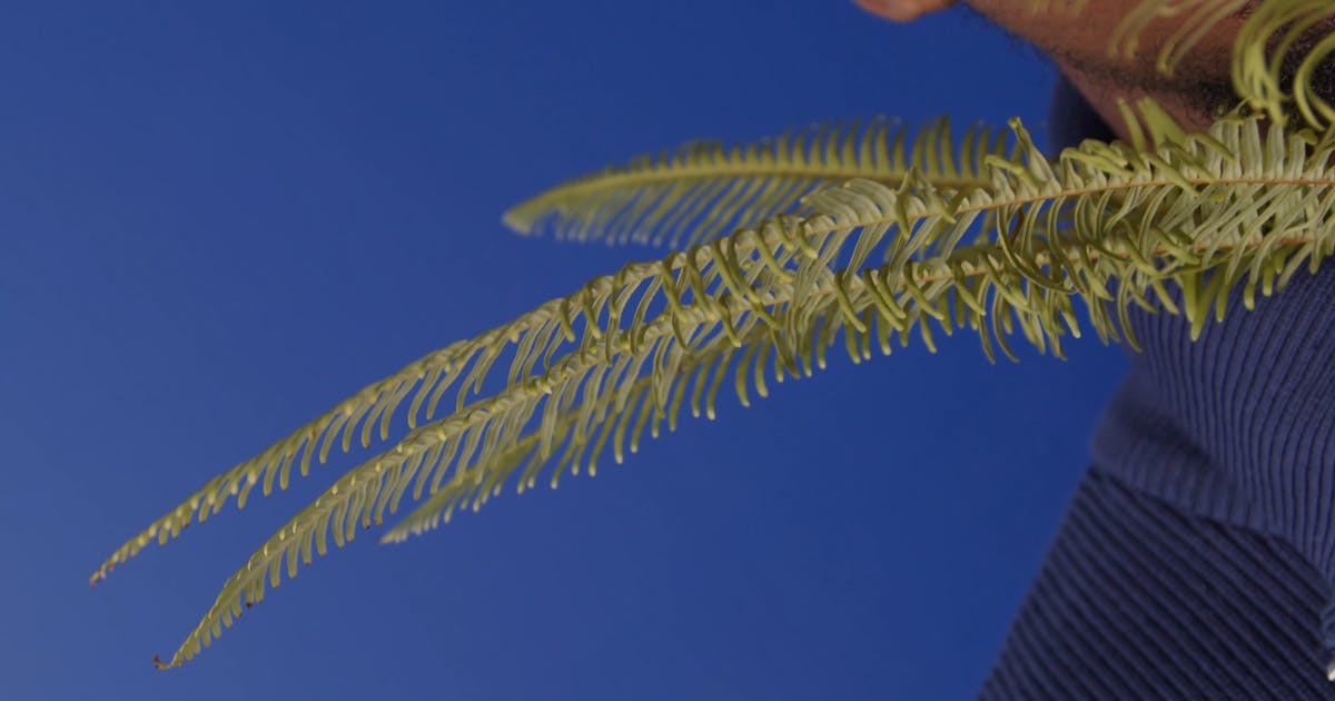 Part 2: The Rabbit Takes a Nap