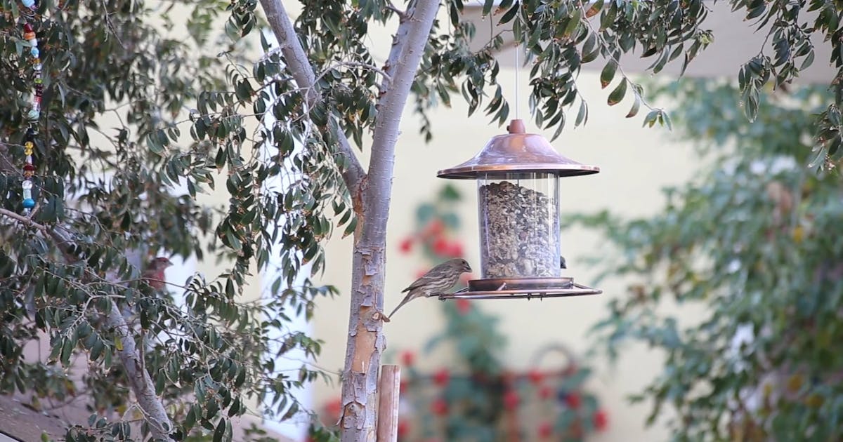 Part 2: The Rainy Day