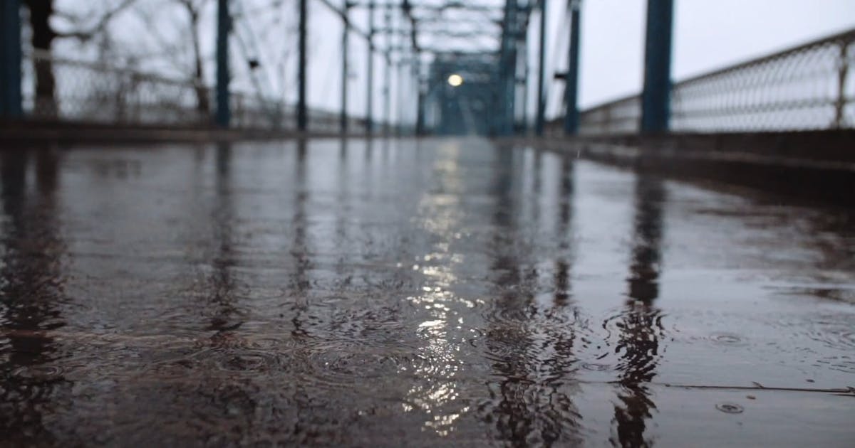 Part 2: The Thirsty Flower