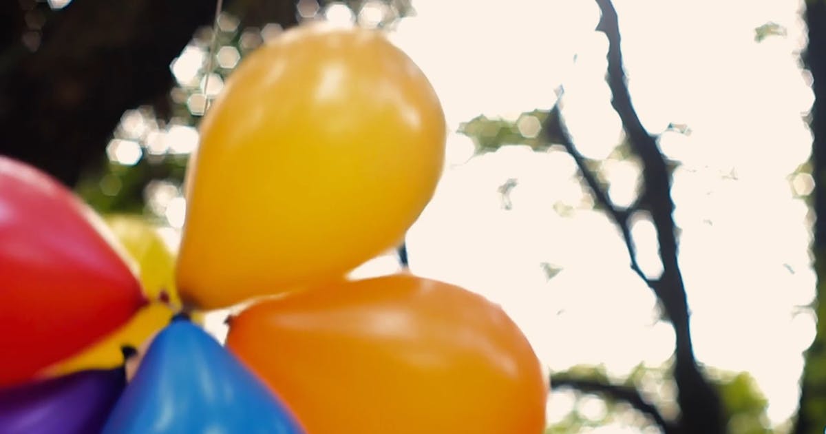 Part 3: A Happy Rainbow