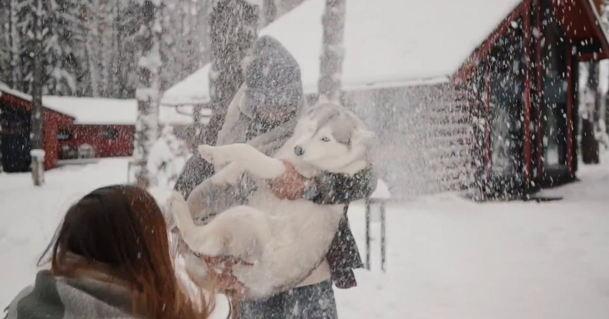 The Magic of Friendship and Harmony