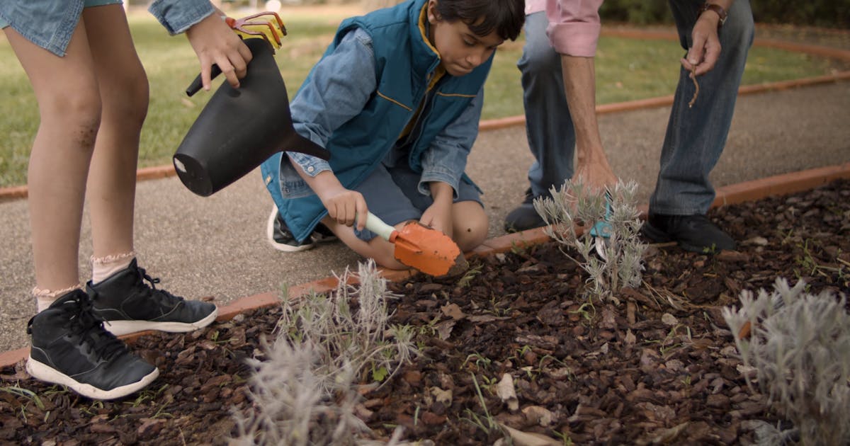 The Lesson of the Enchanted Forest