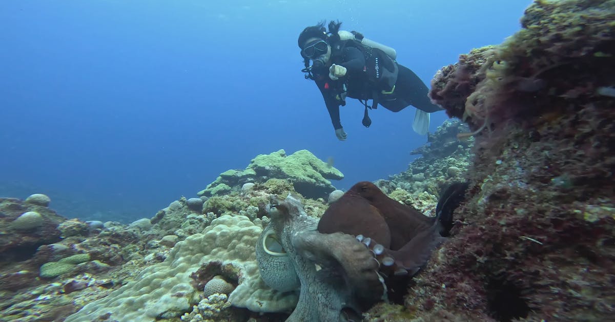 Chapter 3: The Importance of the Ocean