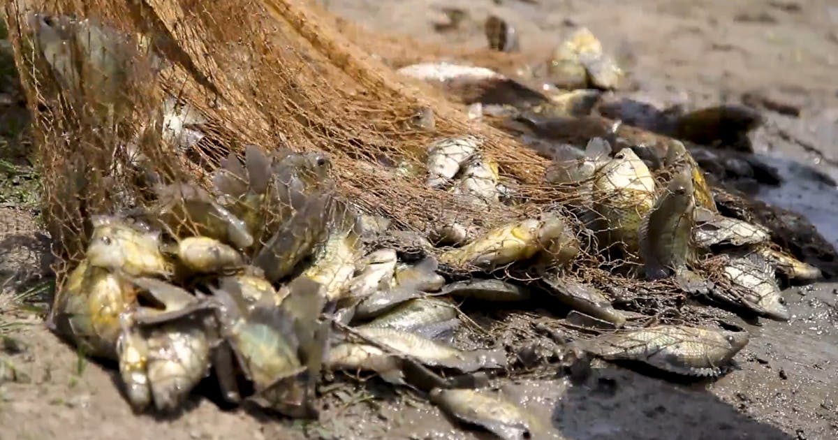 Chapter 3: The Sparkle Stream's Secret